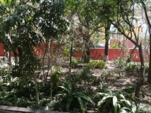 Jardín de las Acacias en Guanajuato capital