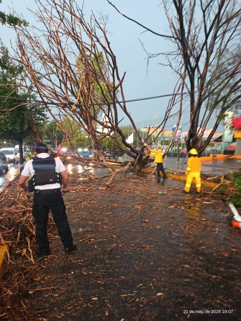 Se registra la primera precipitación de la temporada de lluvias 2025 en León