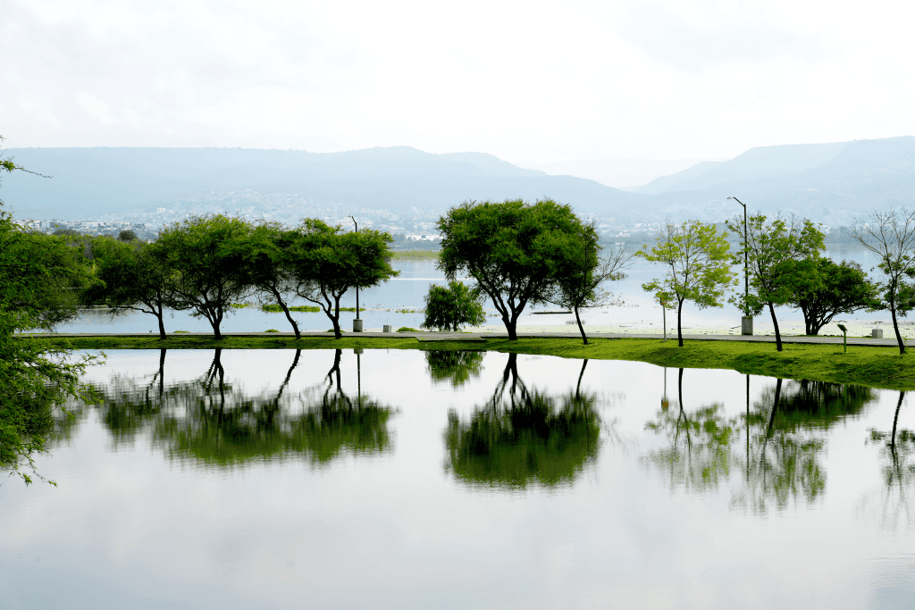 Reflejos de árboles en lago con montañas y cielo nublado, paisaje natural para relajación y tranquilidad.