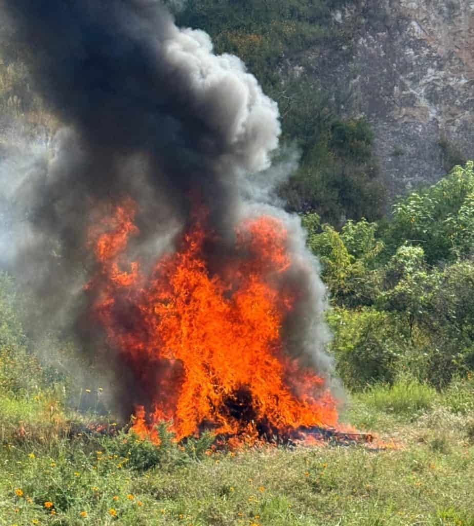 Incineran narcóticos en Guanajuato
