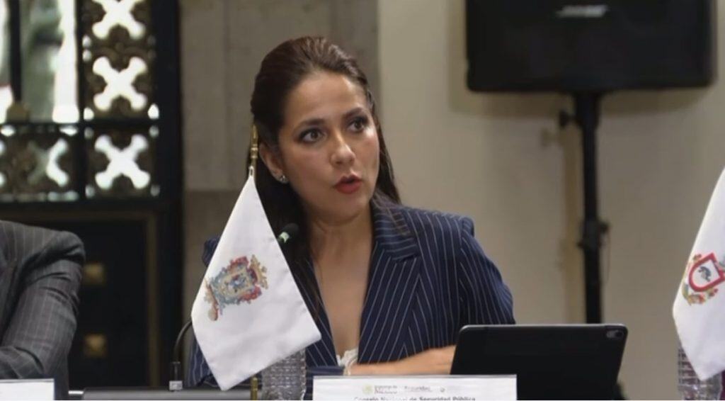 1. Mujer en conferencia con bandera de México, participando en reunión oficial.