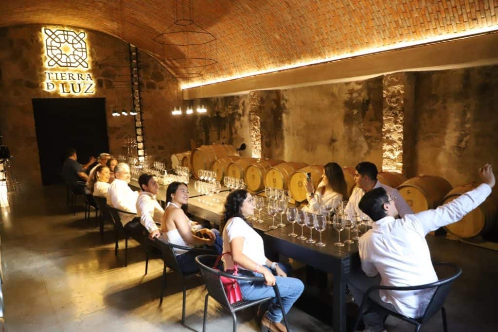 Guanajuato consolida su liderazgo en enoturismo con la temporada de Vendimias 2025