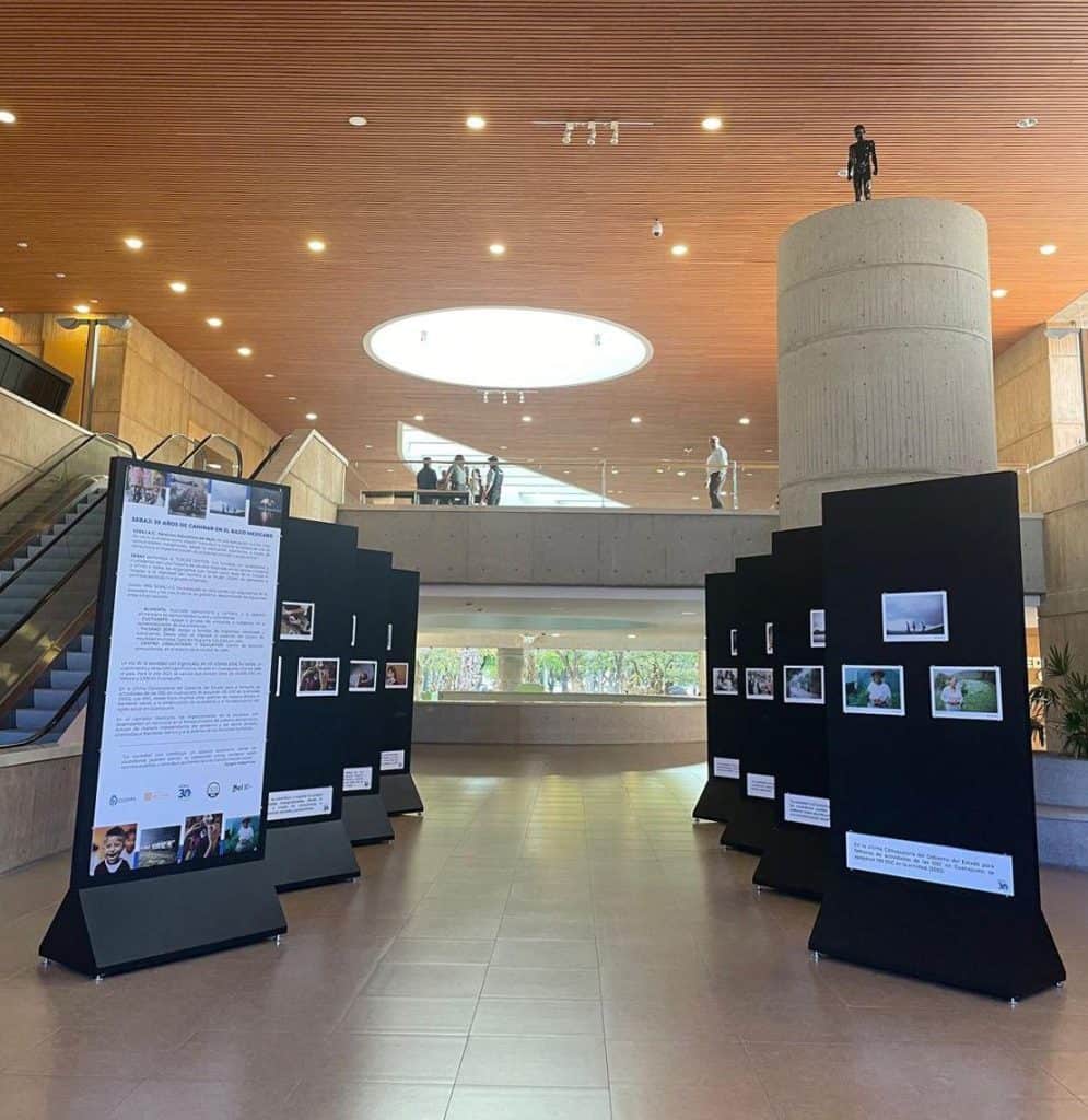 Paleta de exhibición fotográfica en interior moderno y elegante en Cuéntame.