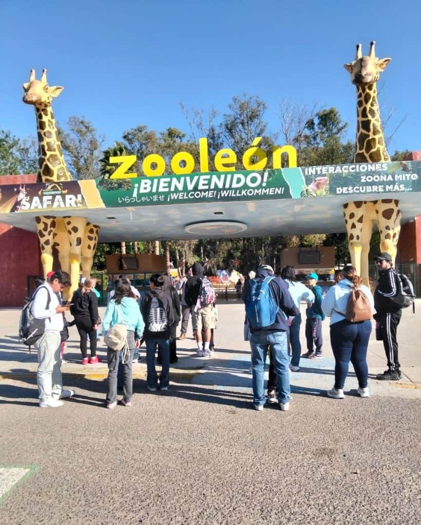 Área de entrada del zoológico con jirafas gigantes y visitantes felices.