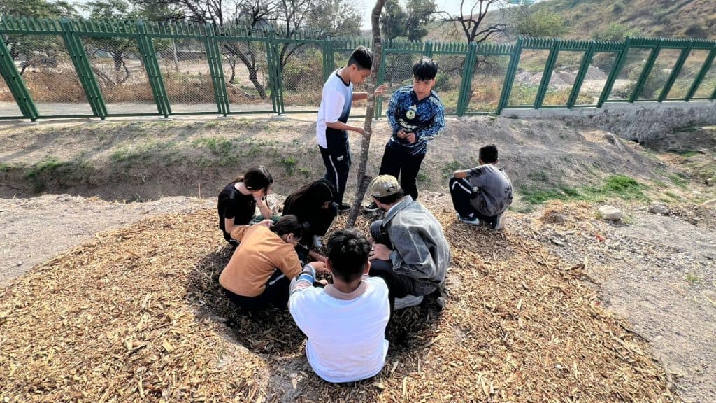 1. Jóvenes plantando árbol en área de naturaleza para conservar el medio ambiente.