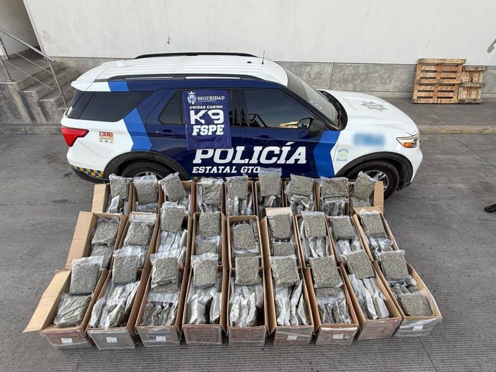 1. Vehículo policial con carga de marihuana asegurada en Cajeme, Sonora.