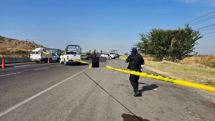 Mujer pierde la vida tras ser atropellada frente a la Central Camionera de Salamanca Accidente vial en carretera con presencia policial y vehículos afectados, investigación en curso.