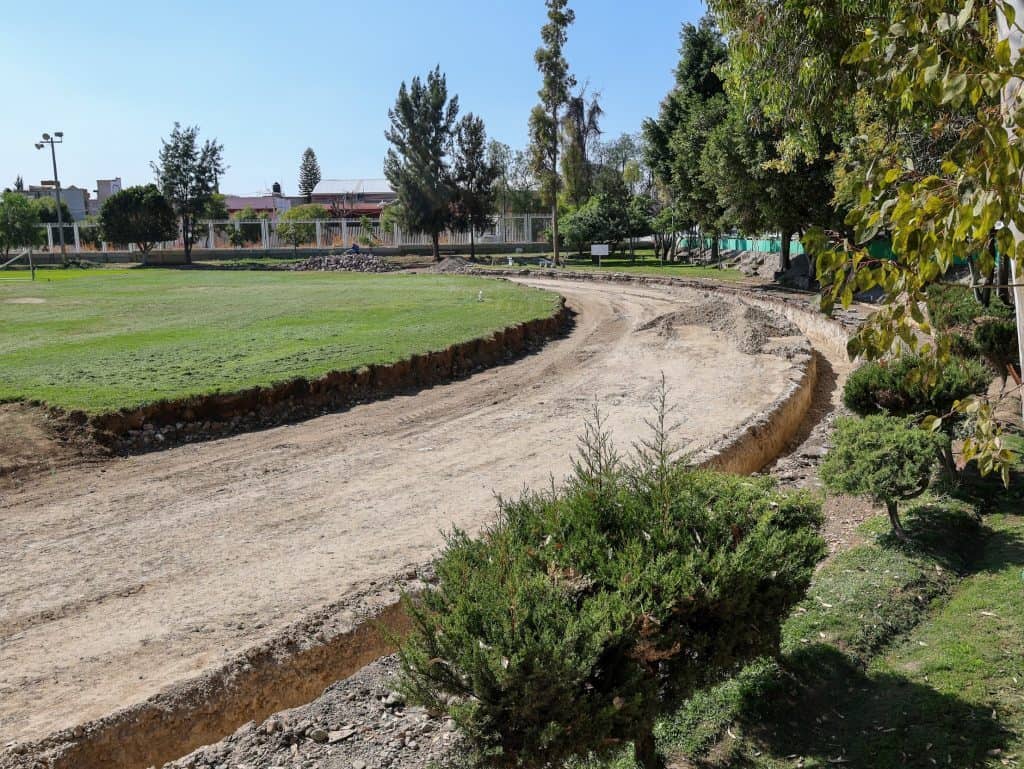 Camino en proceso de reparación en parque con árboles y césped verde.