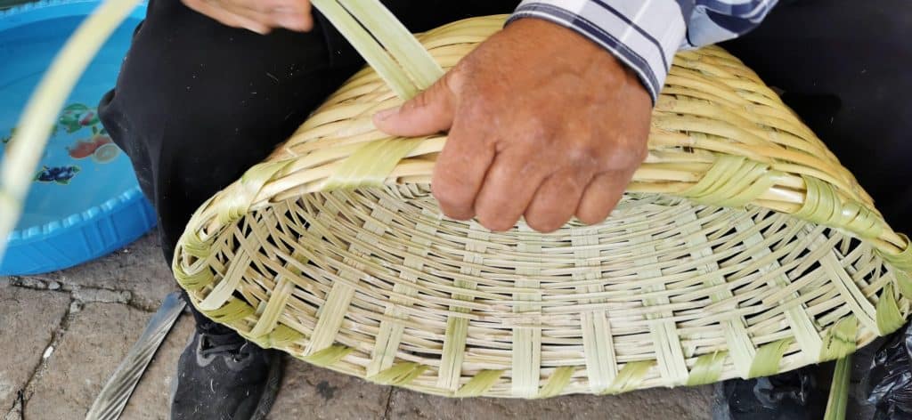 Artesano tejiendo cesta de palma tradicional en proceso artesanal en México.