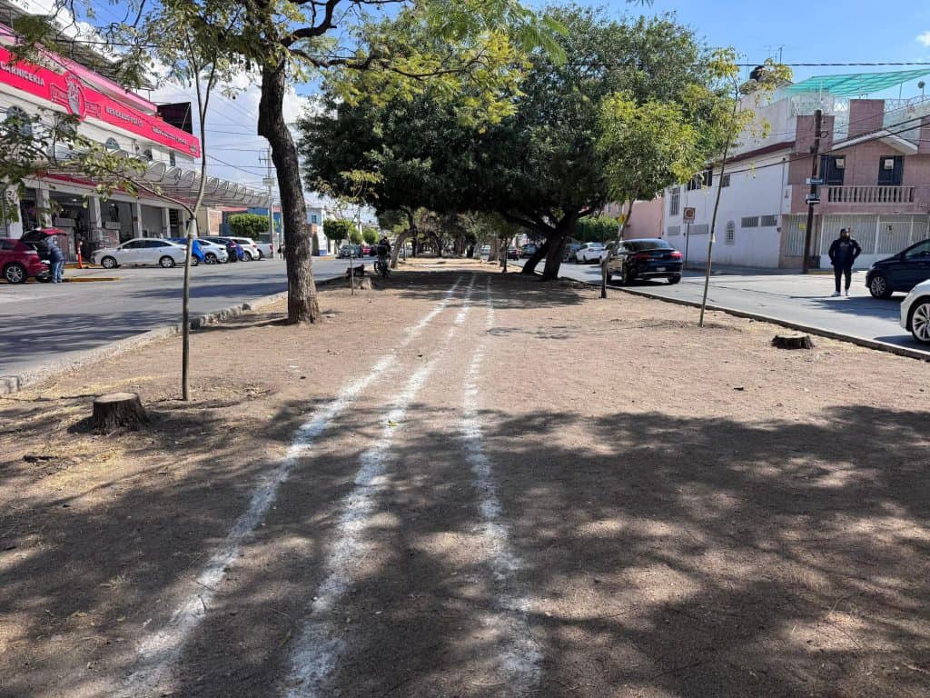 Arboreado y espacio para actividades en parque urbano con sombra y estacionamiento cercano.