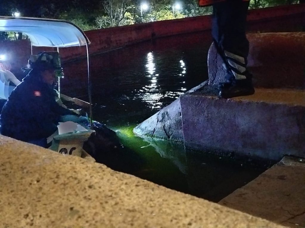 Tragedia en la Presa de la Olla: joven pierde la vida tras caer al agua durante la madrugada