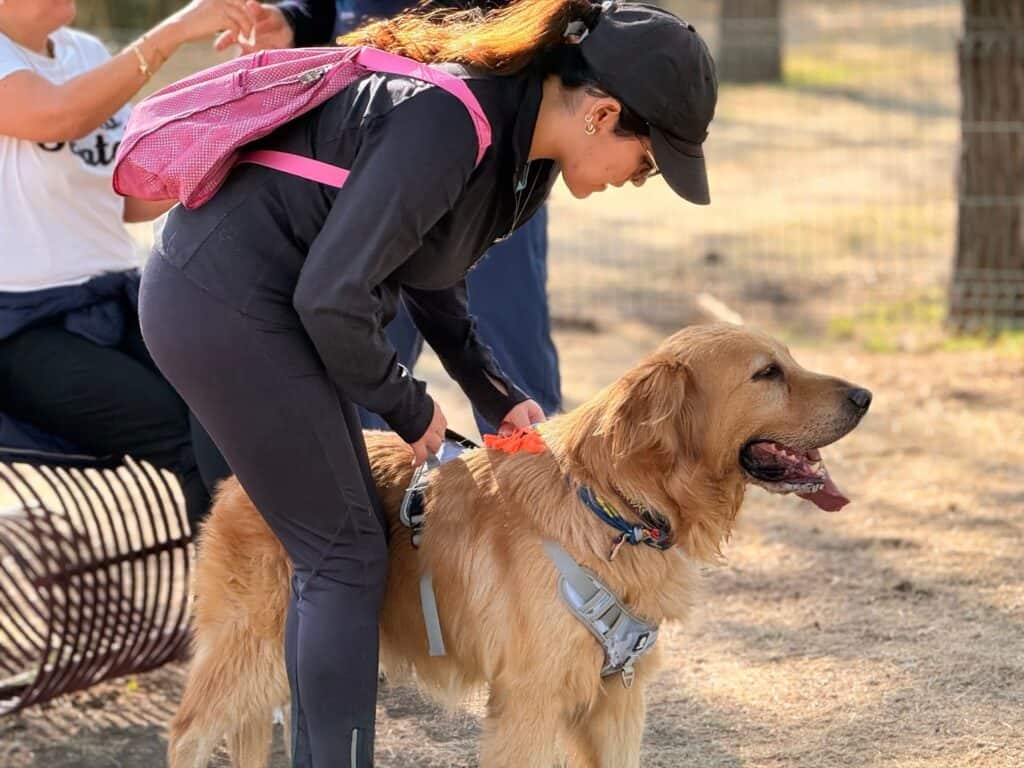 ¿Ya conoces la nueva área pet friendly? Mascotas ya disfrutan de espacio libre y seguro en León