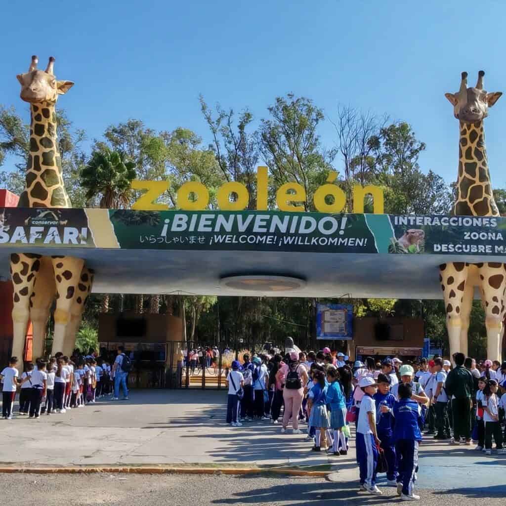 ZooLeón renovará áreas, reforzará atención veterinaria y mejorará la experiencia de visitantes