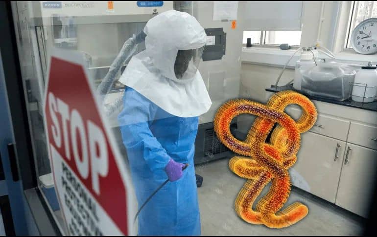 PAN propone reforzar vigilancia sanitaria ante alerta internacional por ébola y proximidad del Mundial 2026