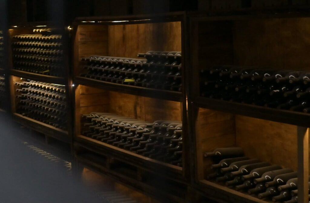Guanajuato brinda con orgullo: sus vinos conquistan el mundo y logran 52 premios internacionales