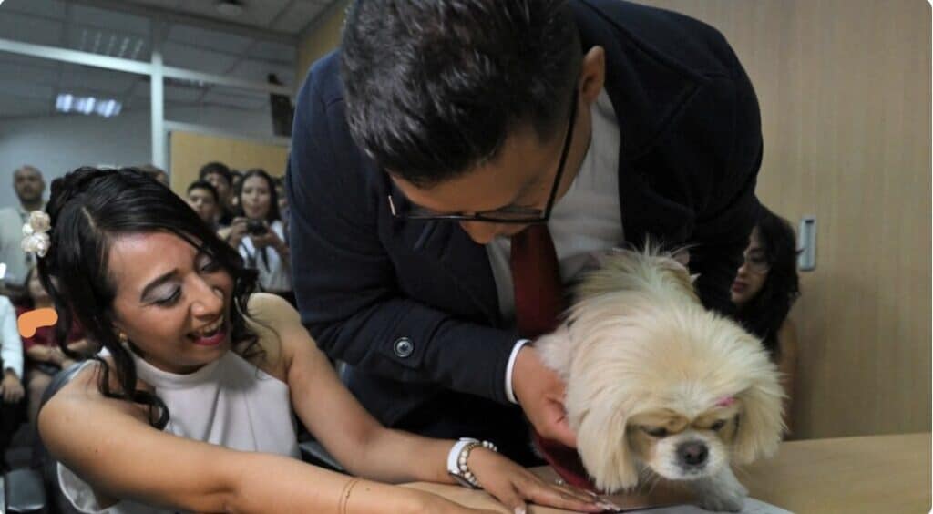 Una huellita selló el “sí”: la tierna historia de la perrita que fue testigo de una boda
