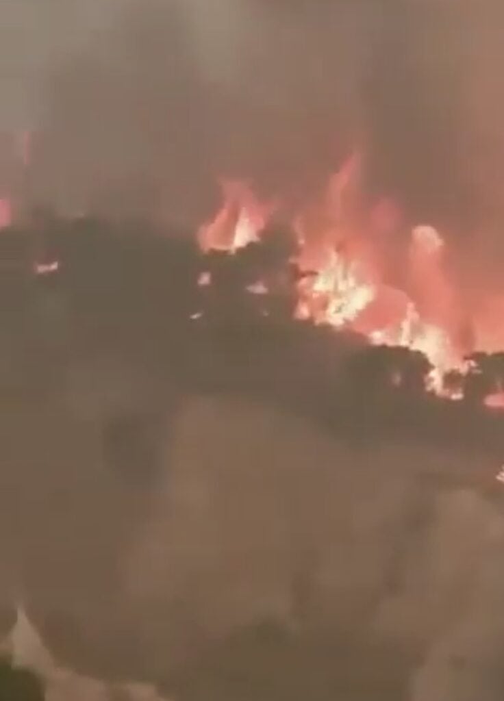 Francia enfrenta una temporada histórica de incendios forestales; más de 220 mil personas han sido evacuadas