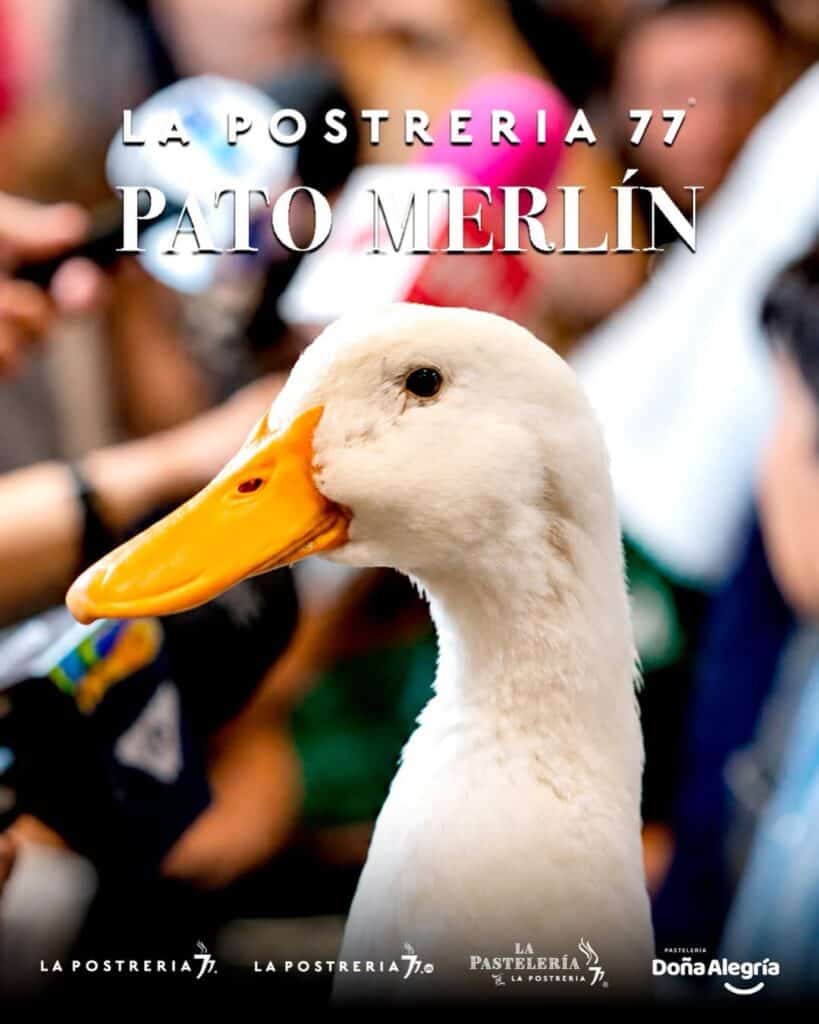 El Pato Merlín gana 200 mil pesos por una sola aparición con Poncho de Nigris
