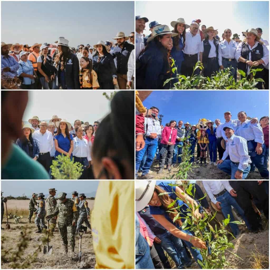 Guanajuato se suma a jornada nacional: plantarán 4 mil 580 árboles y plantas en 265 hectáreas