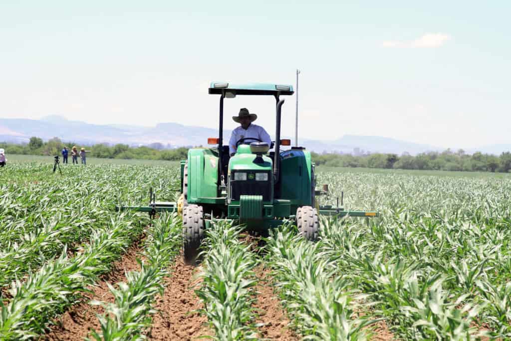 PAN propone una agenda nacional para blindar al campo mexicano ante riesgos comerciales y sanitarios