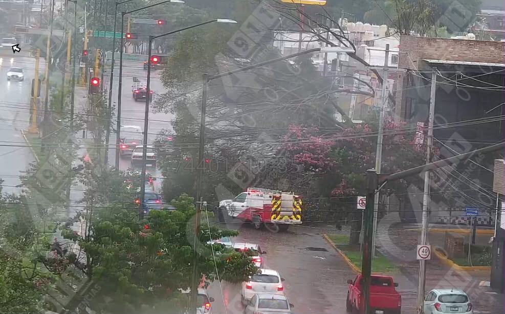 Árbol de gran tamaño cae sobre camioneta y barda en León tras fuertes vientos