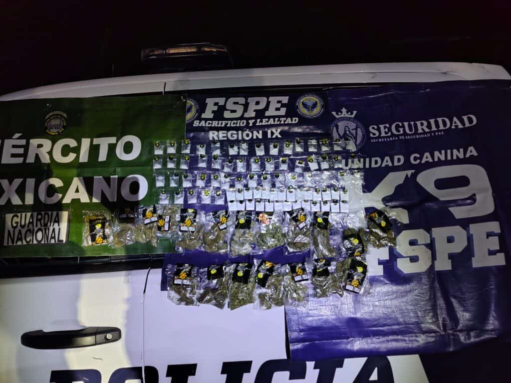 Unidad K9 detecta presuntas drogas y ayuda a detener a joven con 421 dosis en Silao