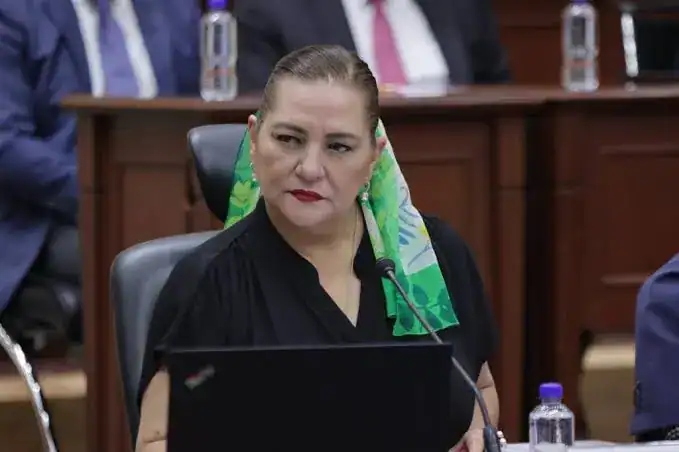 Presidenta del INE Guadalupe Taddei, bajo la lupa: investigan contratos y crecen las exigencias de explicaciones